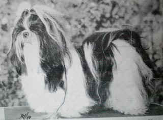 1979 BOREAS` MEI HSI CH`IAO