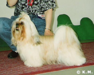 1988 KrysanteeminQuoVadis