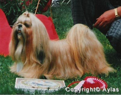 1989 BoreasManchuRingmaster