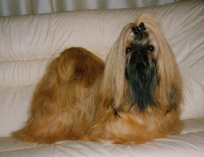 1991-93 JEM-GEM CHOIR ANGEL