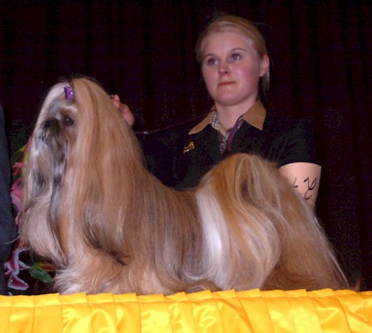 2002 TA MARIA DANCING MAY vet