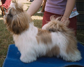 2002 Tangse Hip Hop Dancer