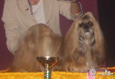 2003 TA MARIA DANCING MAY vet