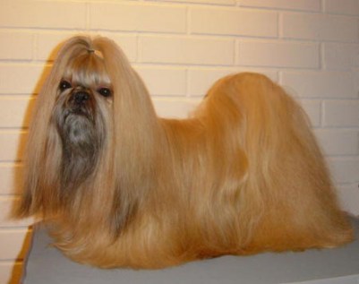 2004 LE BON BEAT'EM ALL