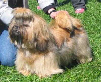 2005 LadyChimasZecretPromice pentu