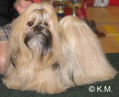 2005 TA MARIA MONA LISA