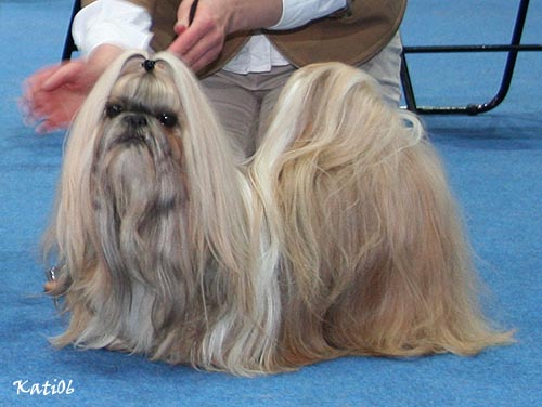 2006 TamariaMayflower Vet