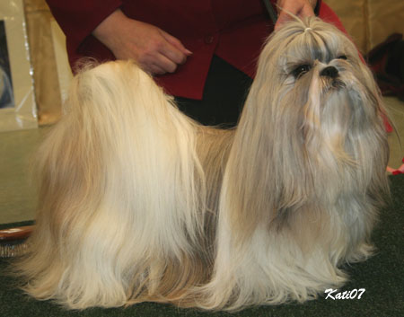 2007 MintzunOttilia vet