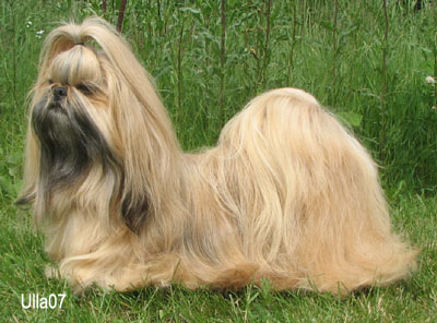 2007 TA MARIA MONA LISA