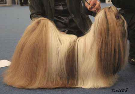 2008 TA MARIA VANITY FAIR