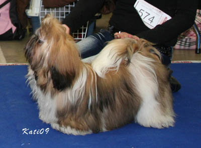 2009 SanFunSalsaParty pentu