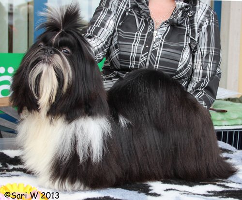 2013 ZyssWickedGetTogether pentu