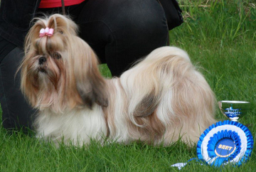 aJoKinsPartOfYourWorld