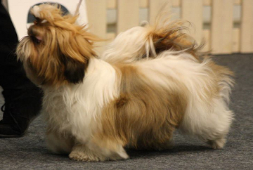 aMinlisMadeleineJennika