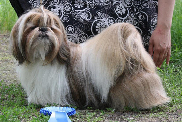 aSaloRy09062013JoKinsTrulyMadlyDeeply