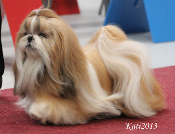 aTaMariaSugarDaddyvet2013