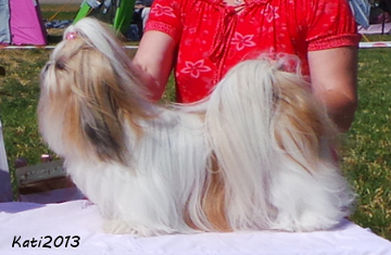 aTellenmussukatIkikukka