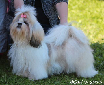 aZyssRainbowPotOfGold