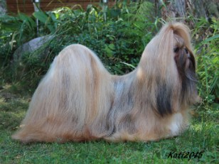 BesamanosFancyMeeAtCamelle