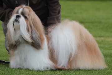 BesamanosFollowMeeGuysYlivieskaKV19072015