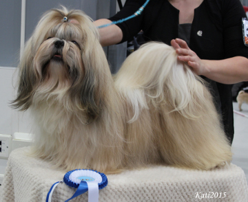 CAMELLE CACAO BO BEANY