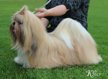 CamelleCacaoBoBeanySTkisa