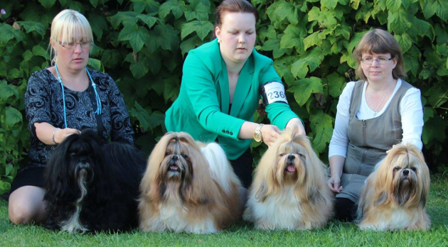 CamelleKasvPorvoo13092015