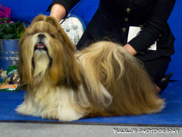 ch-ta-maria-nothing-but-the-beat_22729835280_o