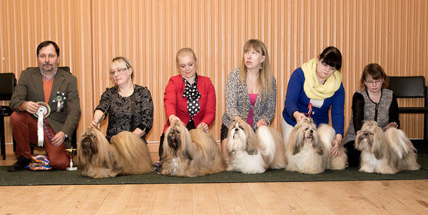 Club Show 23112014RopVspJalk