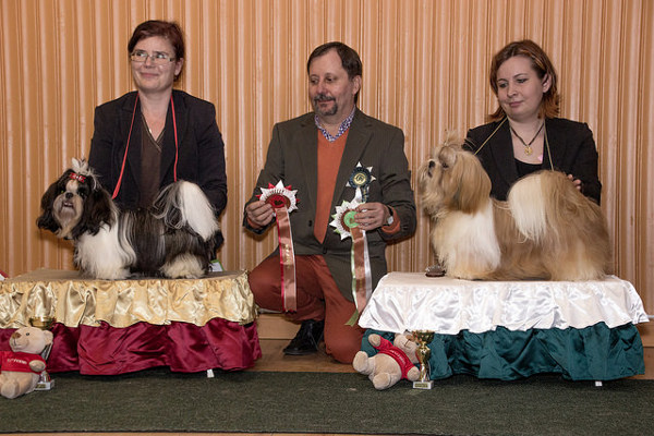 Club Show 23112014RopVspJunior