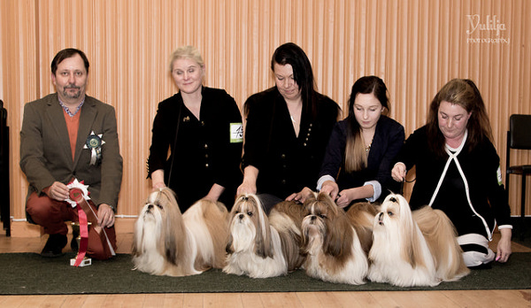 Club Show 23112014RopVspKasv