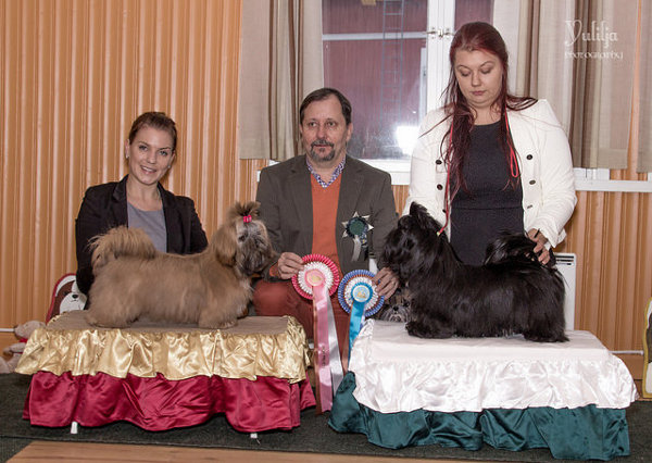 Club Show 23112014RopVspPennut