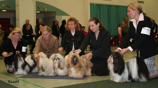 ClubShow05102008FossellaTheBeatGoesOnLapset