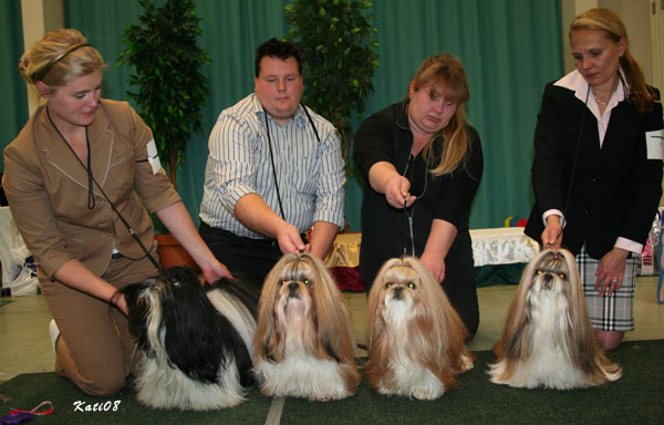 ClubShow05102008KennelTamaria