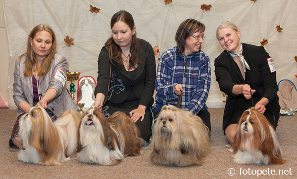 ClubShow07102012Tamaria