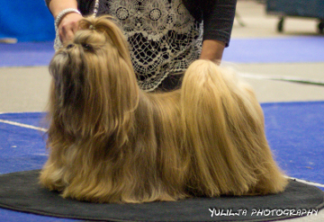 ClubShow08112015Aylas Knick-Knack