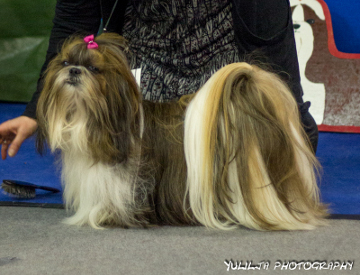 ClubShow08112015Capella Never Say Never2