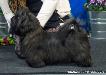 ClubShow08112015Jo-Kin's Talk Disney To Me