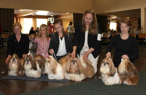 ClubShow13102013RopJälkeläis