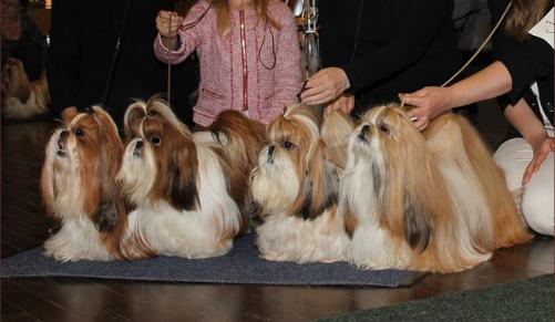 ClubShow13102013RopKasvattaja