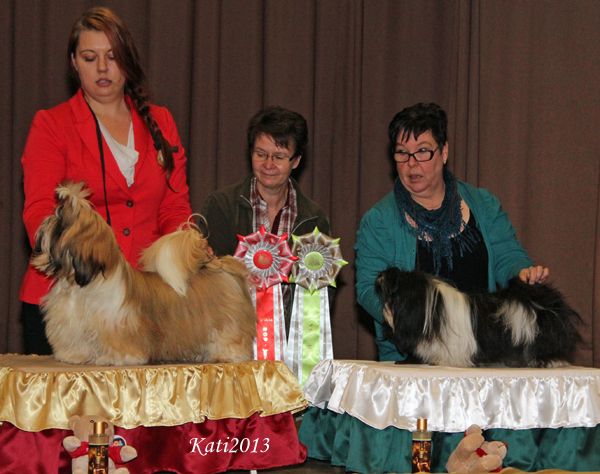 ClubShow13102013RopVspJuniorit