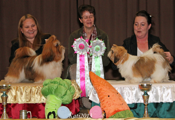 ClubShow13102013RopVspPennut