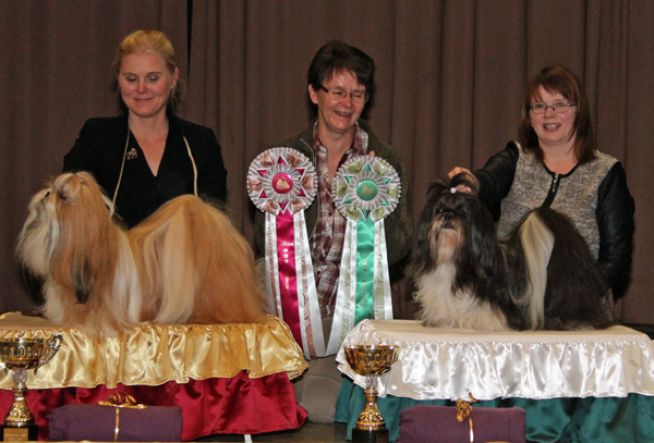 ClubShow13102013RopVspVeteraanit