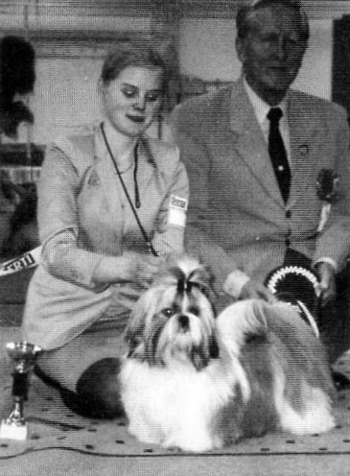 erikois2001RopVspPentu1