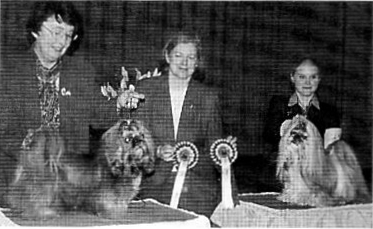 erikois2002RopVspVet1