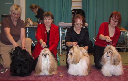 erikois2003RopKasvTangse