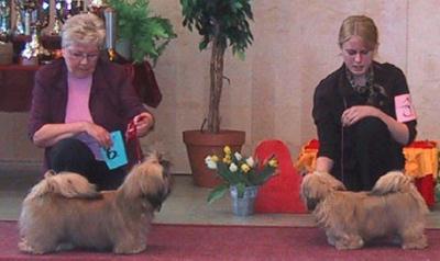 erikois2003RopVspPennut