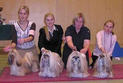 erikois2004RopKasvTaMaria