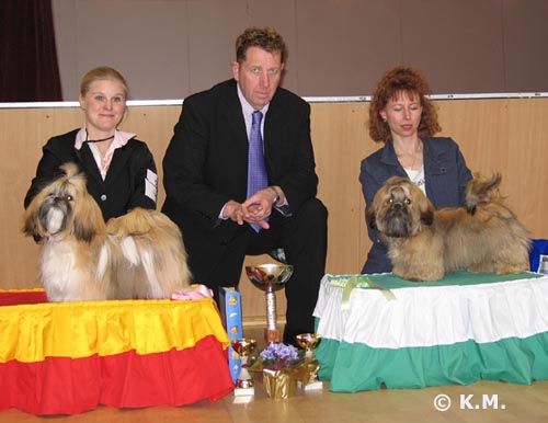 erikois2005RopVspPentu