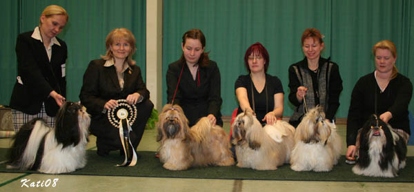 Erikoisnayttely02032008FossellaTheBeatGoesOnJalkelais